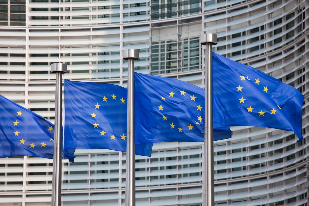 Euroopan unionin lippuja (kuvituskuva)