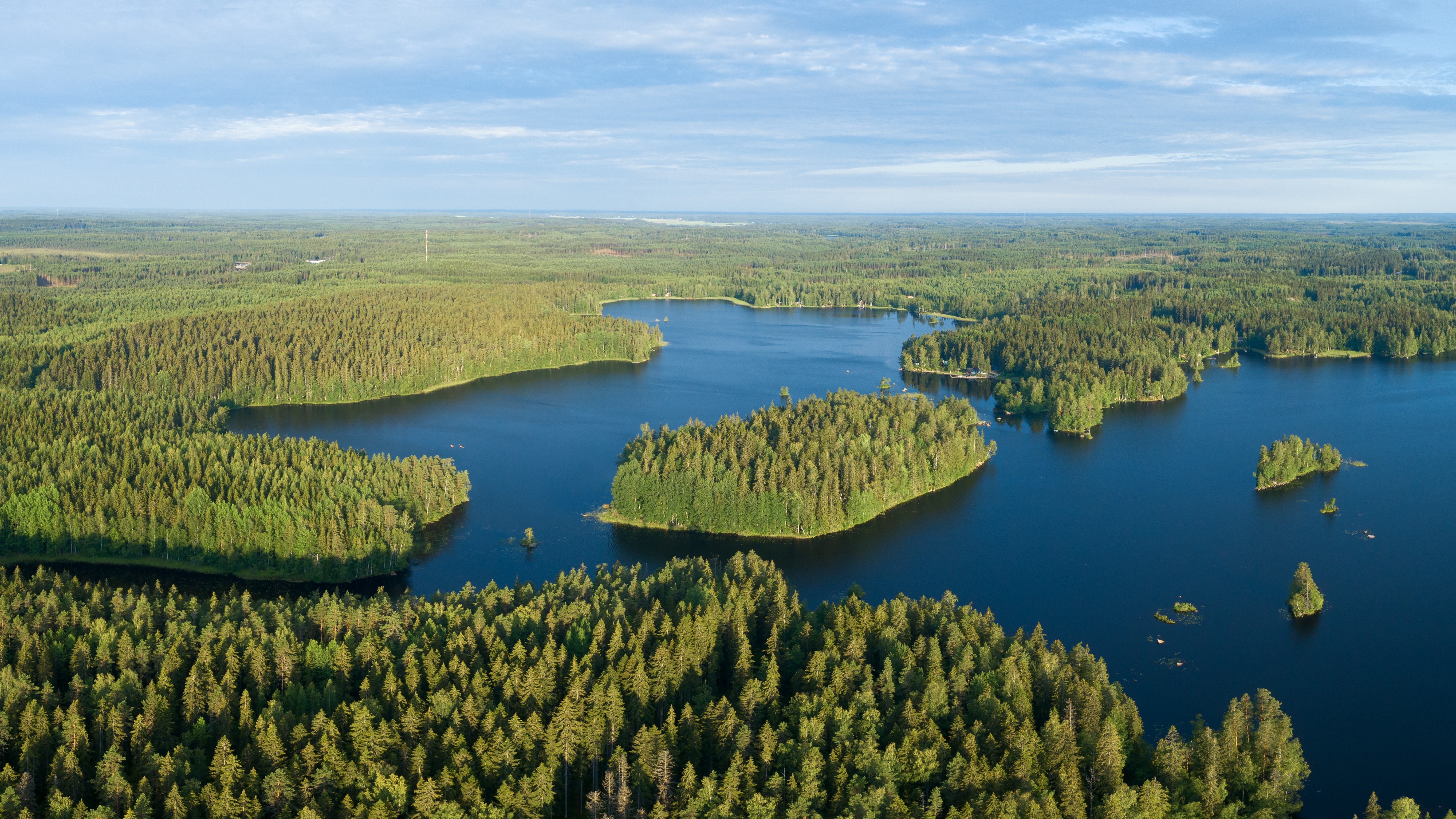 Järviä ja vihreää metsää kirkkaassa auringonpaisteessa